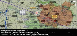 MH17 110714-170714.webp