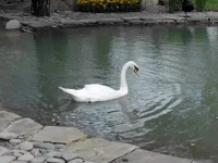 1_Pva2NoCa4.webp