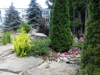 4NFARJInSwc.webp