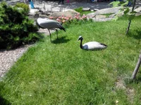 tH_qJ40QKec.webp