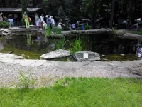 YQoGwYW9j4M.webp