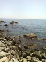 IMG_20140714_124547.jpg