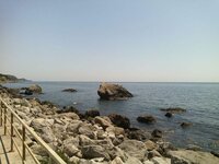 IMG_20140714_124900.jpg