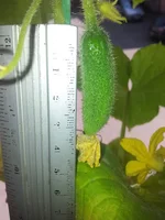 20140723_113650.webp
