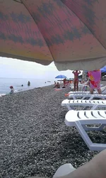 IMAG0336.webp