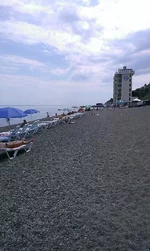 IMAG0337.webp