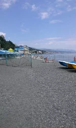 IMAG0338.webp