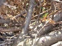 DSCF0924.webp