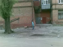y_eee3fbcd.webp