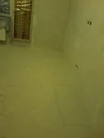 2013-01-29 18.36.35.webp