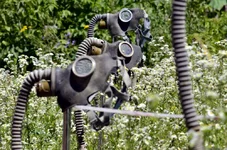 _DSC5087.webp