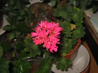 IMG_8078.webp