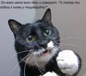 Bty6HnCIMAAQTk2.webp