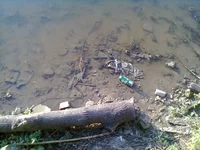 0084.webp