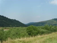 SAM_0721.webp