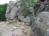 SAM_0742.webp