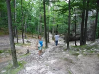 SAM_0756.webp