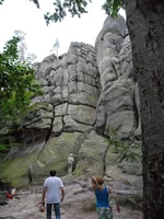 SAM_0755.webp