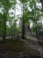 SAM_0762.webp