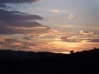 SAM_0782.webp