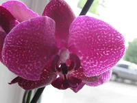 14.webp