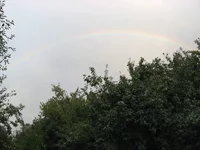  Июль 172.webp