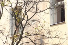Image00015.jpg