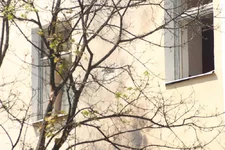 Image00015.webp
