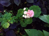 P_20140802_170751.webp