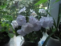 IMG_8094.webp