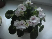 IMG_8120.webp