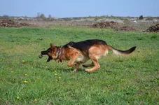 DSC_0893.webp