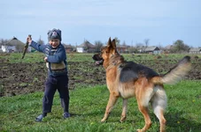 DSC_0961.webp