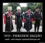 2(1).webp