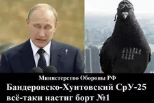 -25.webp