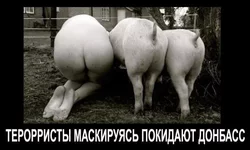 670x402.webp