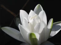 Foto 092.webp