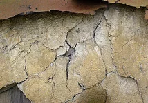 textura.webp
