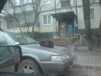 DSC03014.webp