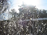 IMG_2758.webp
