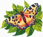 .webp