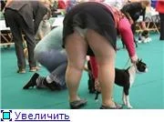  не требует.webp