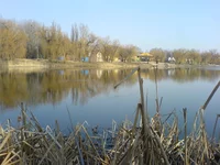 DSC03215.webp