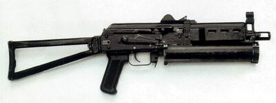 bizon.jpg