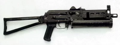 bizon.webp