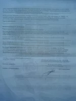 20140815_123146.jpg