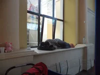 .webp