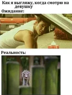 3561634481.webp