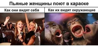 20525315278.webp