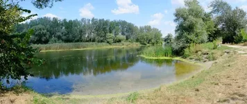 DSCF0042.webp